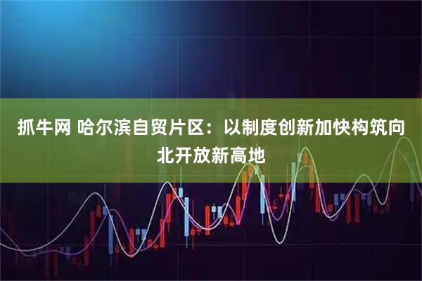 抓牛网 哈尔滨自贸片区：以制度创新加快构筑向北开放新高地